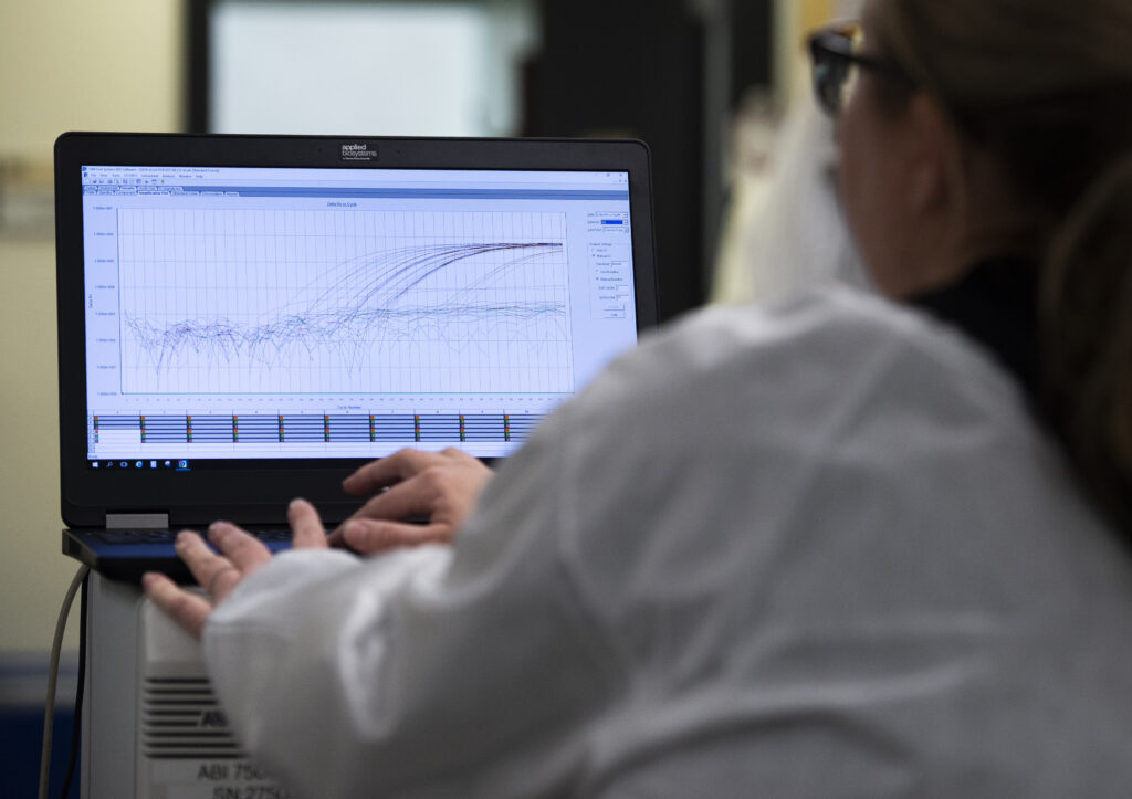 Upon the conclusion of the PCR, Polymerase Chain Reaction, test, Public Health Microbiologist can view the raw data to analyze it can determine if COVID19 is present. (Photo Credit: Los Angeles County)