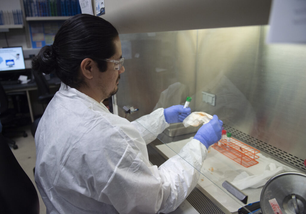 Public Health Lab Assistant Abraham Jimenez receives the specimen the Central Accessioning which is the in-take area to begin the polymerase chain reaction (PCR) test for COVID-19 on March 19, 2020. Jimenez decontaminates the outside of the container, and gives the sample an accession number to coincide with lavatory information system. ( Photo Credit: Los Aneles County )