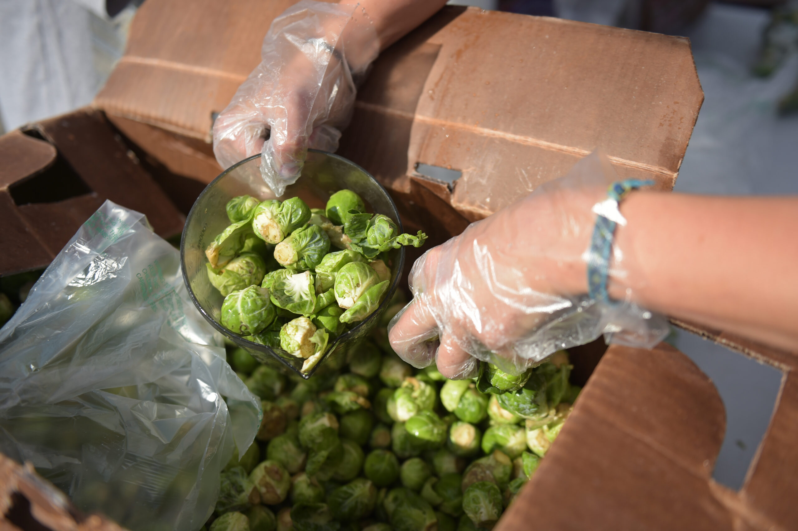 COVID19 Give Support